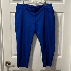 Women's Apt 9 Blue Capri Pants Size 16
